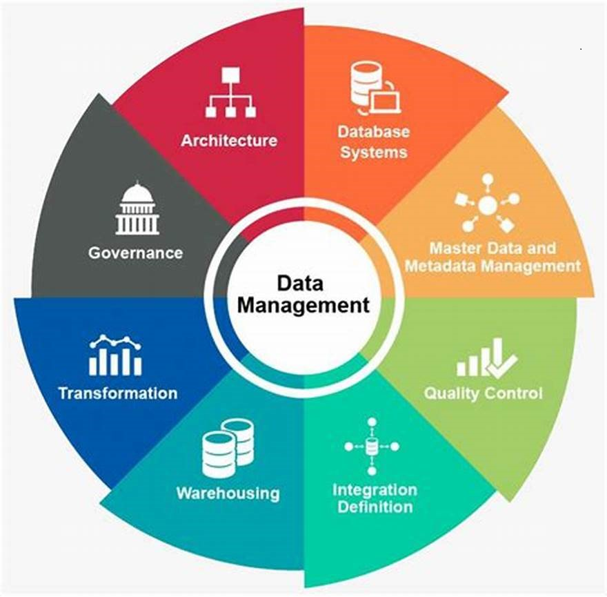 Data Management Services